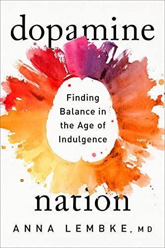 Dopamine Nation by Anna Lembke book cover