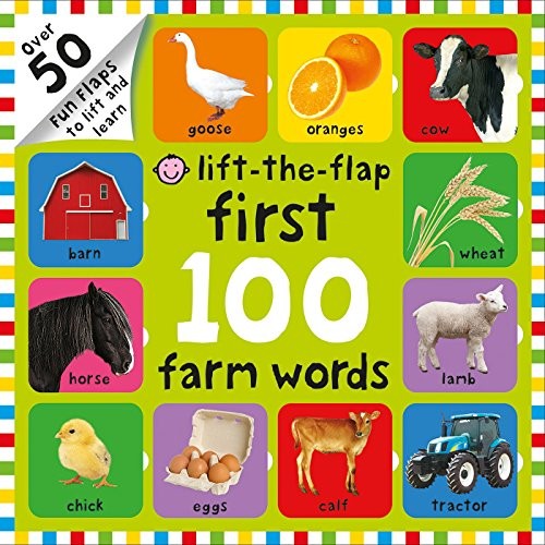 First 100 Words Lift-the-Flap book cover