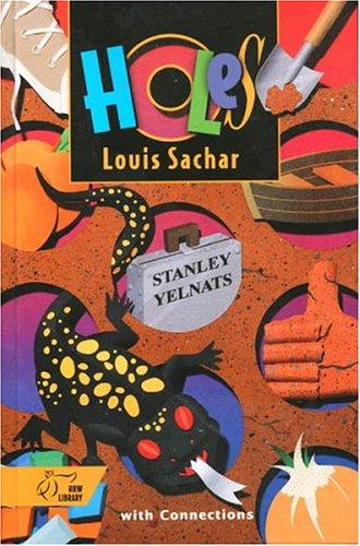 Holes by Kerry Beyer book cover